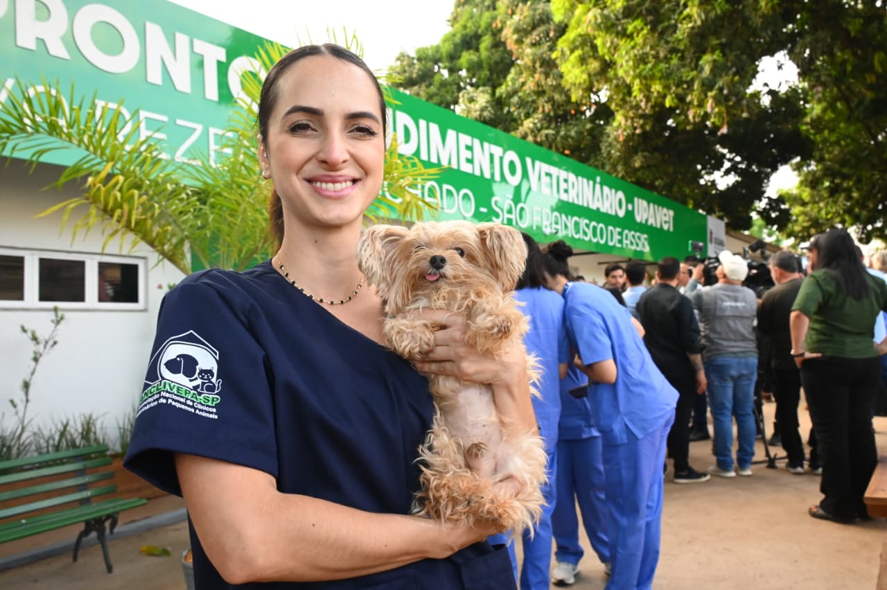 UPAVet de Goiânia: confira como buscar atendimento gratuito para cães e gatos