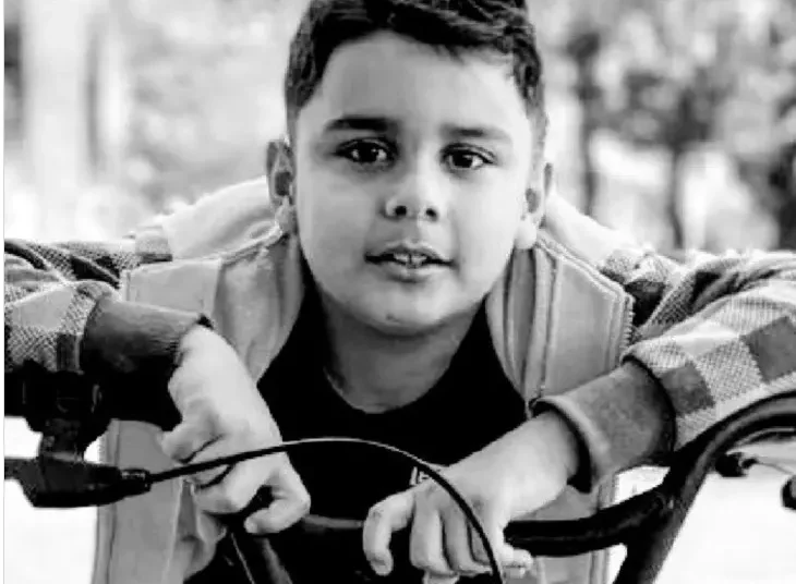 Após 12 dias internado, morre menino picado mais de mil vezes por abelhas em Catalão