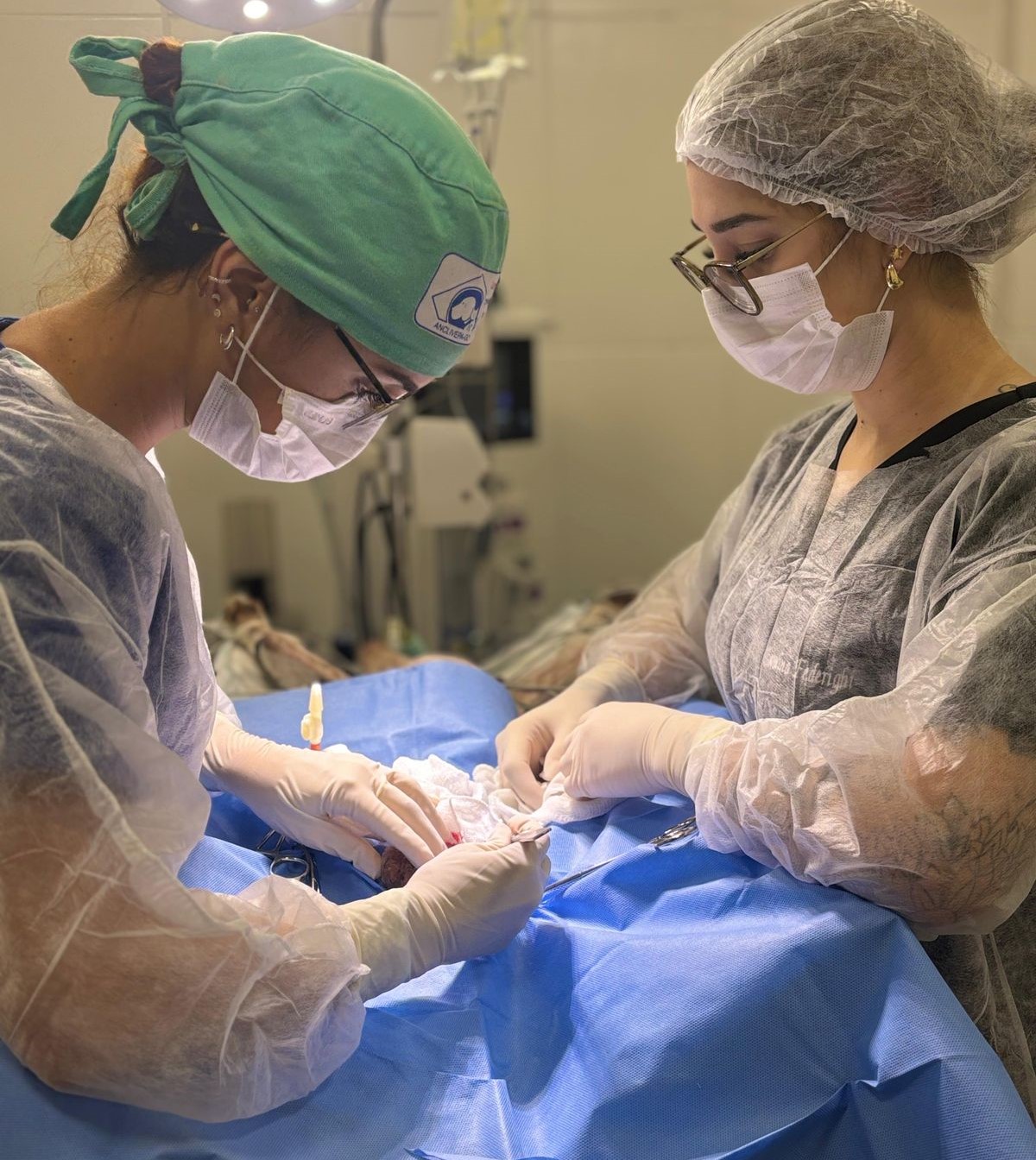 UPAVet de Goiânia: confira como buscar atendimento gratuito para cães e gatos