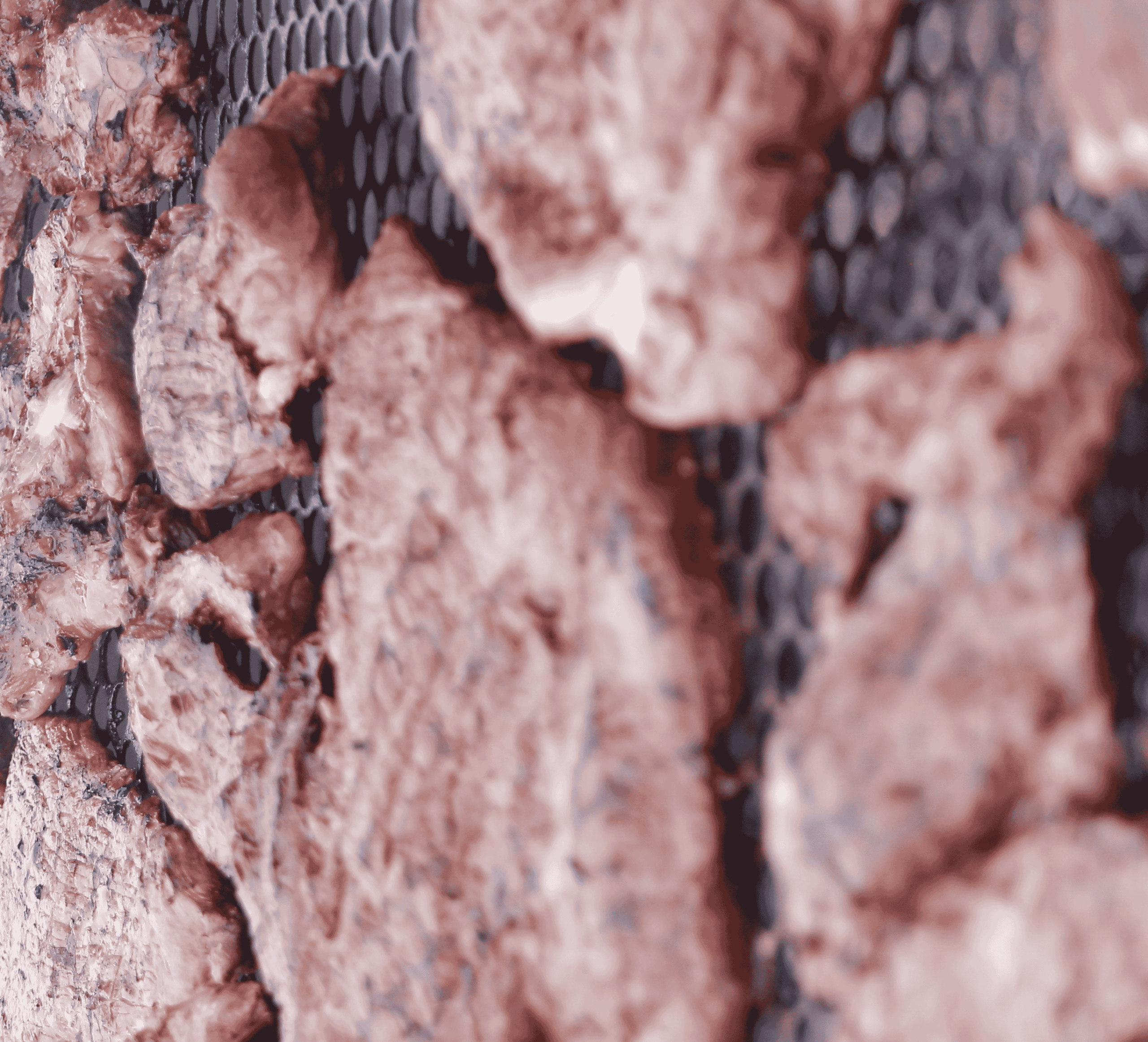 Festa, poder e bastidores: 10 imagens do aniversário de Wander Saraiva em Abadia