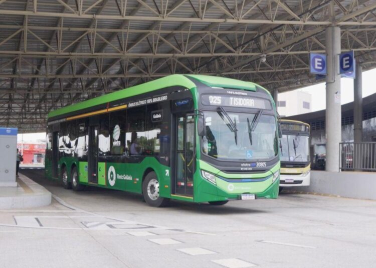 Onibus do Transporte Coletivo de Goiânia | Foto: Divulgação