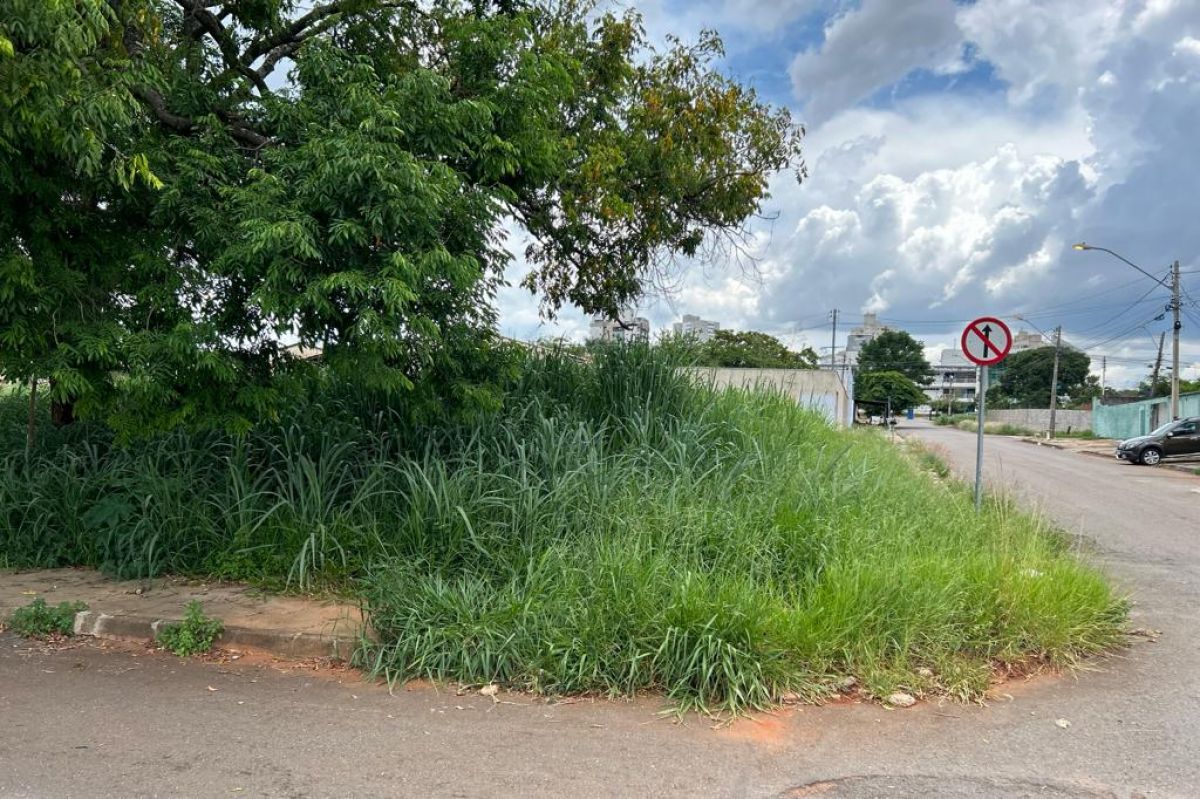 crise comurg goiania