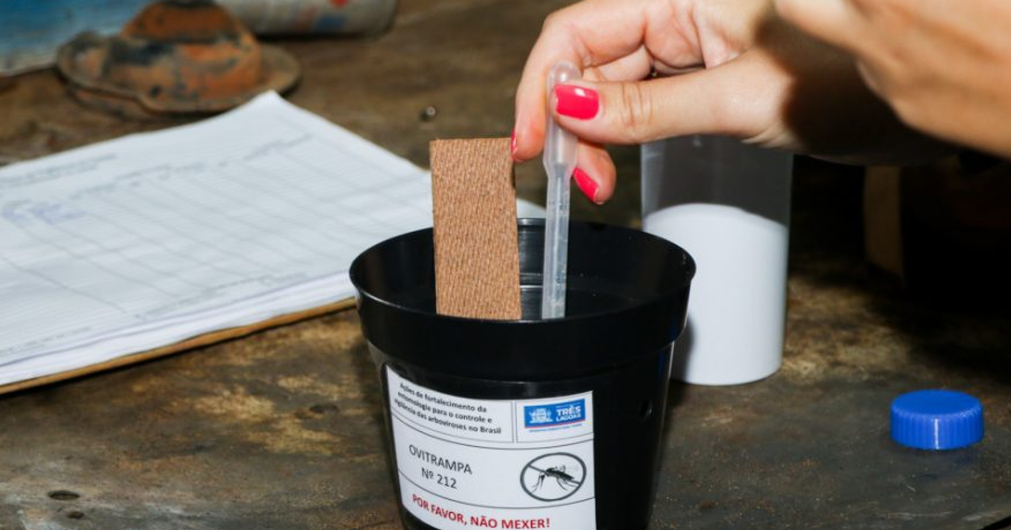 Aparecida de Goiânia dengue 