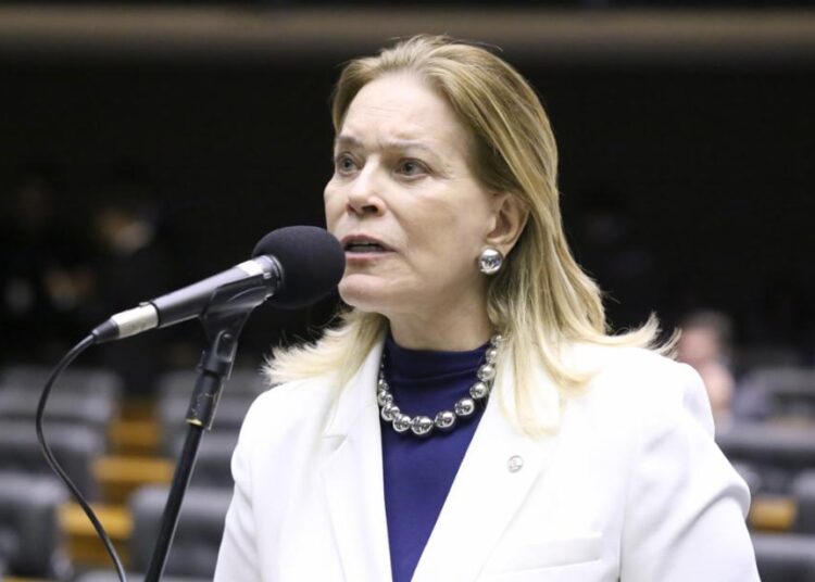 Deputada federal Leda Borges | Foto: Camara dos Deputados