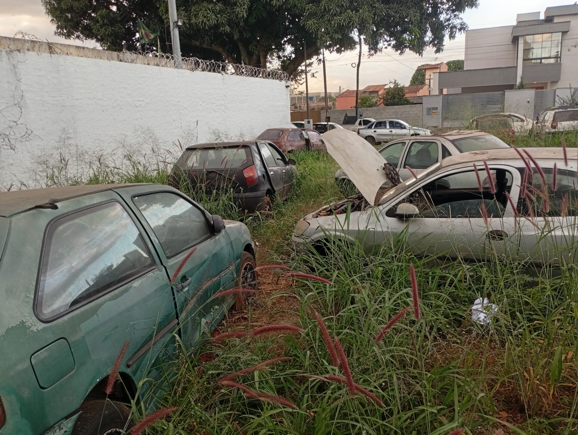 Carros apreendidos são saqueados ao lado de delegacia em Aparecida