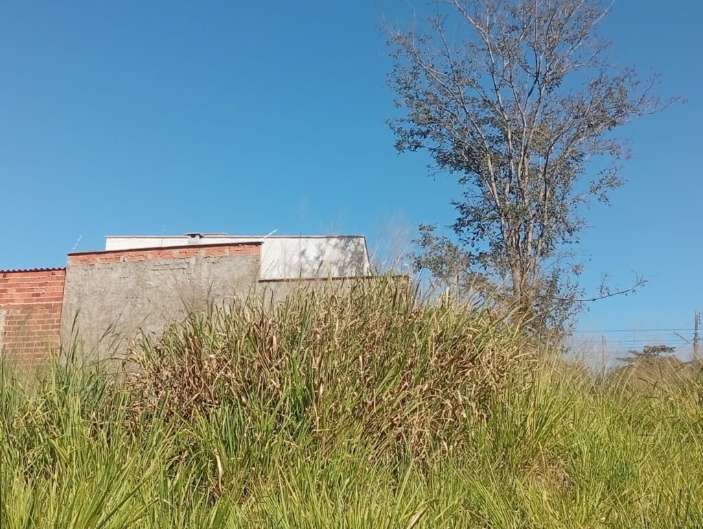 Limpeza de lotes em Aparecida